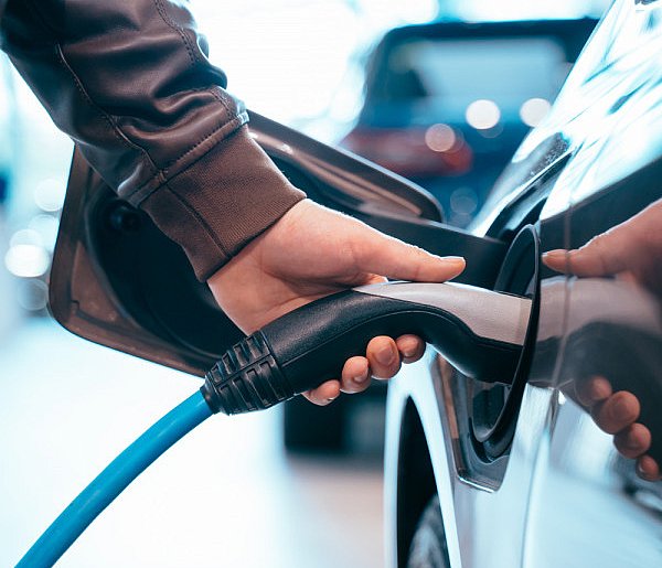 Coraz częściej dochodzi do takich kradzieży. Powody zaskakują-73504