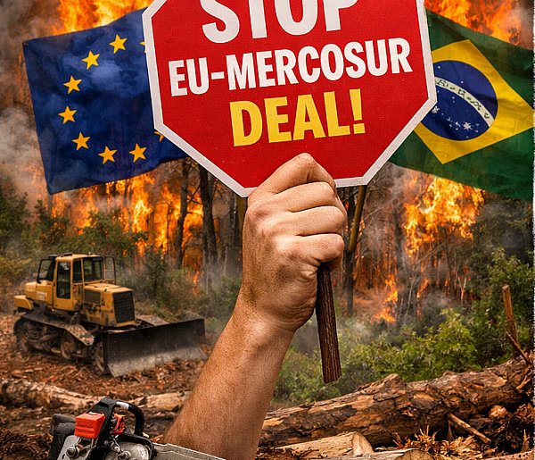 Artur Sowiński: Walka z rzeczywistością, czyli Mercosur-UE-Indie