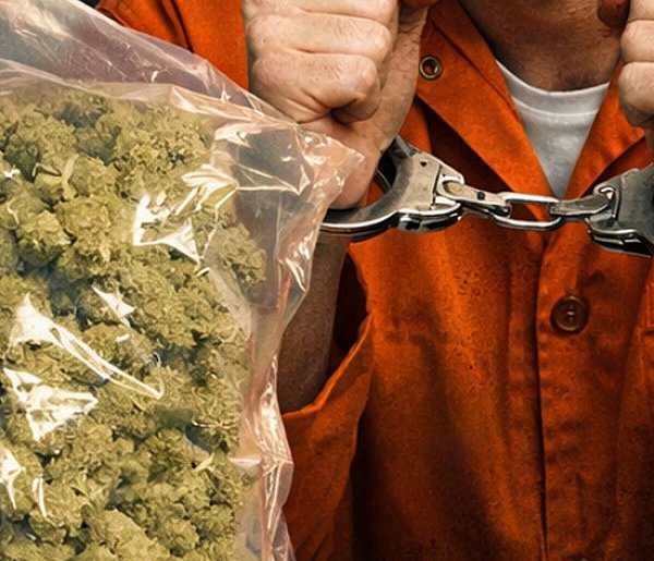 Krośniewice: Recydywista zatrzymany z marihuaną. grozi mu 15 lat za kratkami