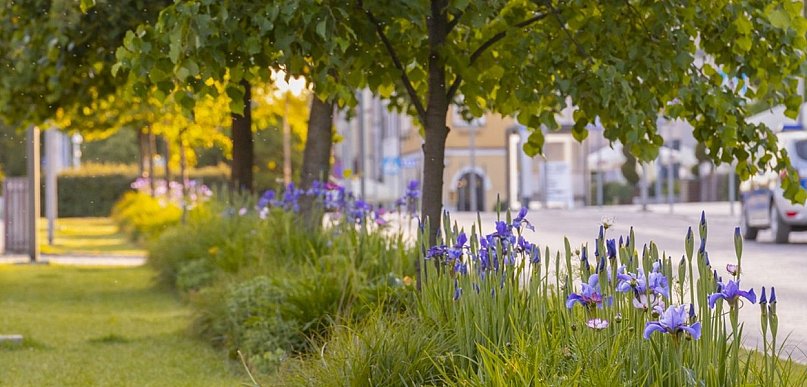 Są pieniądze na nowe parki, skwery, łąki kwietne czy ogrody deszczowe
