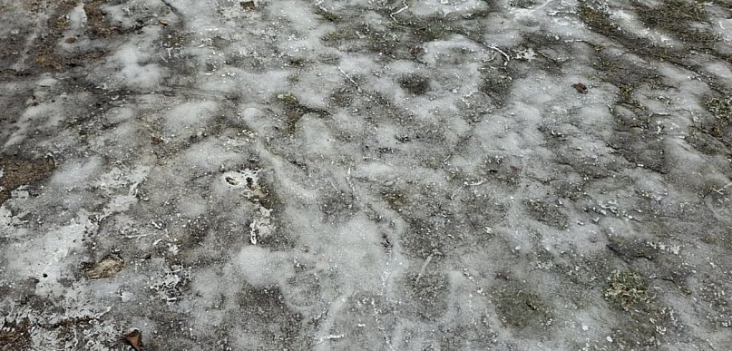 Kutno: Miasto odpowiada na oskarżenia o brak kontroli i korupcję