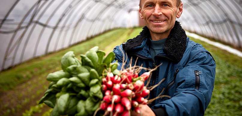 Wiosna na talerzu. Zapraszamy na rynki „Prosto od rolnika”