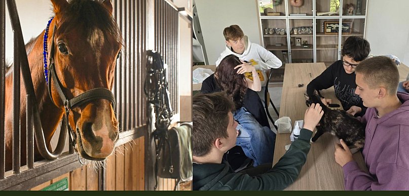 Nowoczesny sprzęt z KPO, milionowe inwestycje w internat w szkole w Mieczysławowie