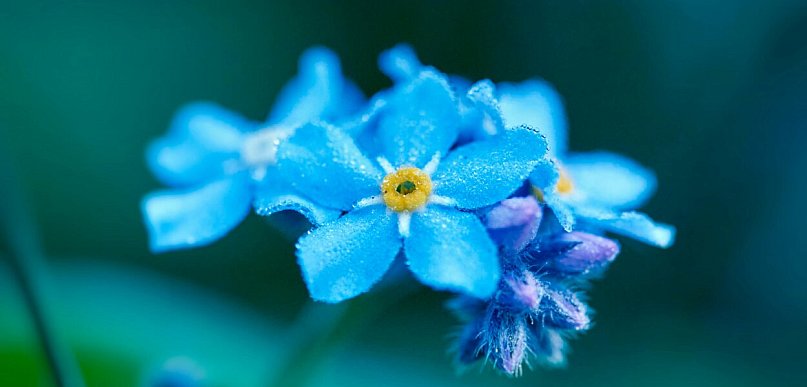 Kto zostanie dyrektorem Przedszkola nr 17 w Kutnie? Nauczycielki niewinne