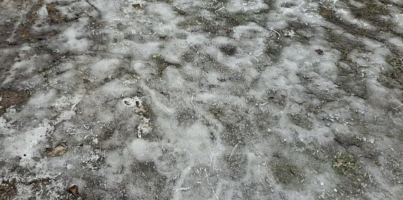 Kutno: Miasto odpowiada na oskarżenia o brak kontroli i korupcję