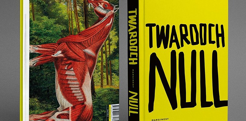 Nowości dla dorosłych: Twardoch, Gortych, Sobczak, Robbins