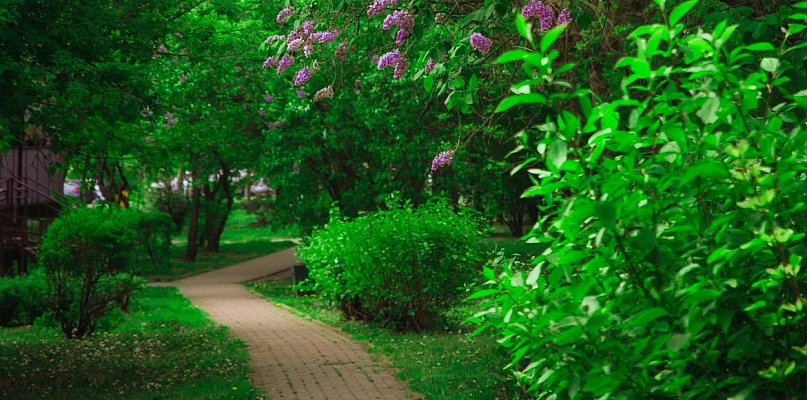 Eko-Parki powstaną w Krośniewicach i Grabowie