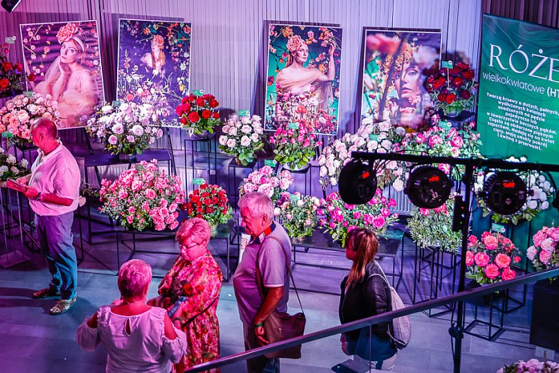51. Ogólnopolska Wystawa Róż w Kutnie