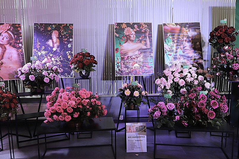 Ostatni dzień Święta Róży 2025