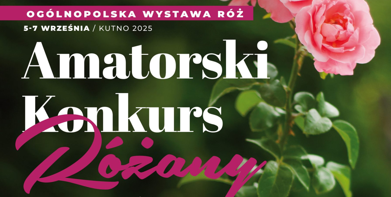 Amatorski Konkurs Różany 2025. Zmiana w regulaminie