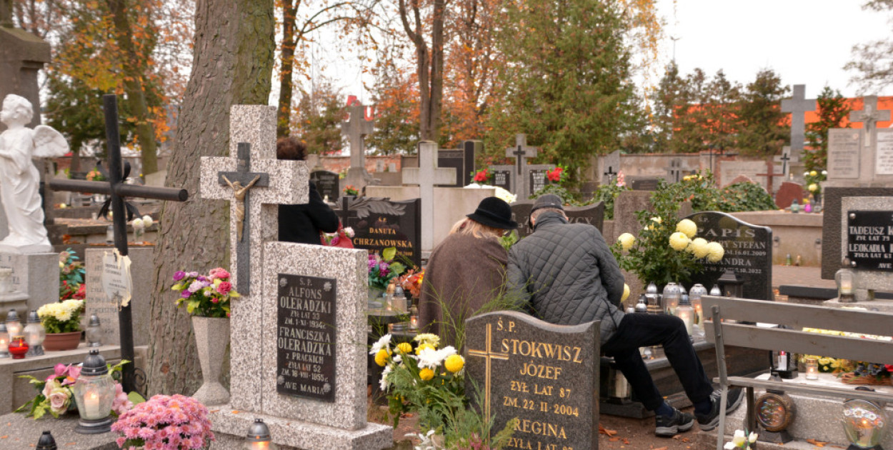 Fot. ddwloclawek.pl / siecportali.pl