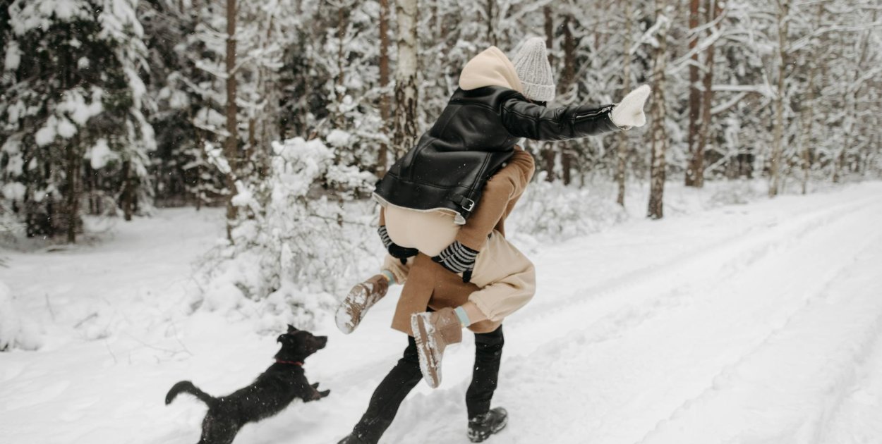 główne_20251223123652_pexels-photo-6667766.jpeg.jpg | Źródło: pexels.com Licencja: https://www.pexels.com/photo-license/