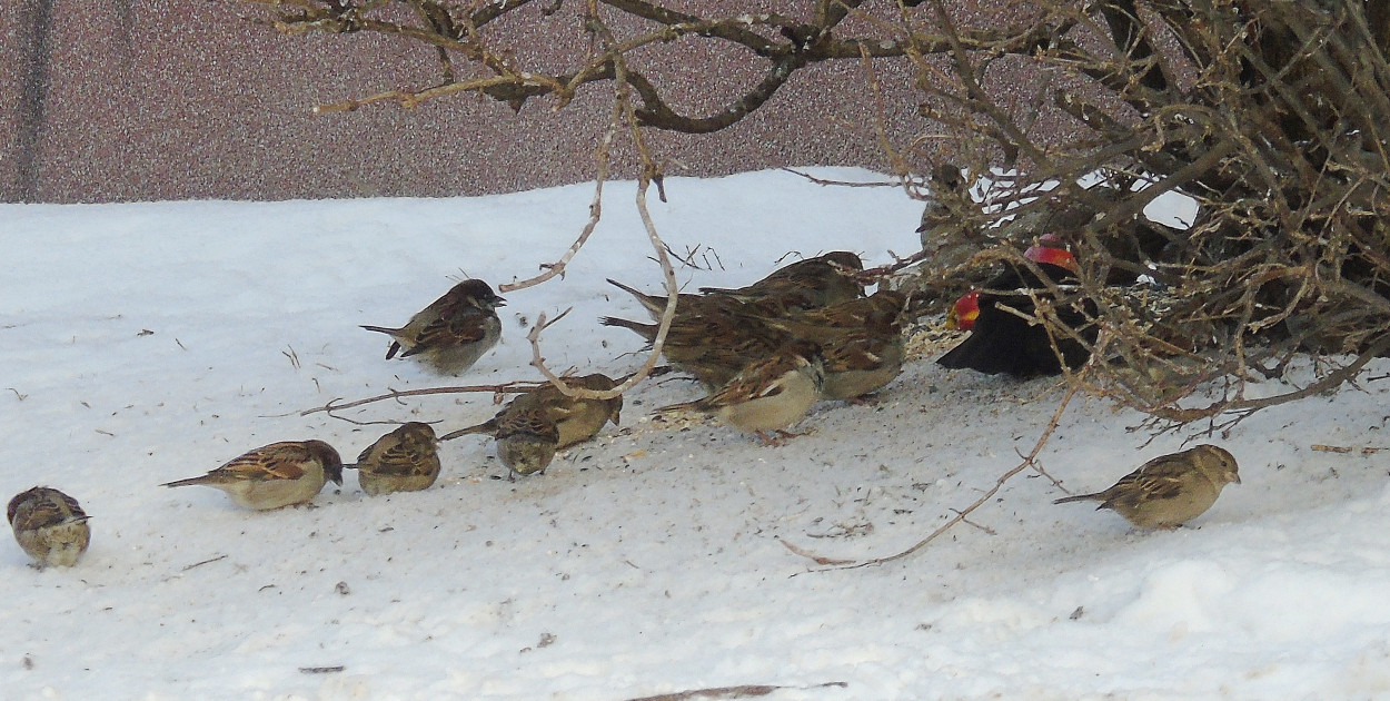 fot. Bogdan Rozważny