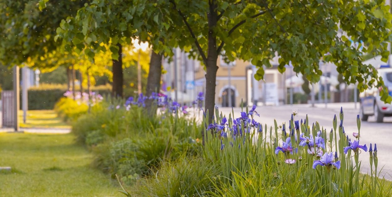 Są pieniądze na nowe parki, skwery, łąki kwietne czy ogrody deszczowe