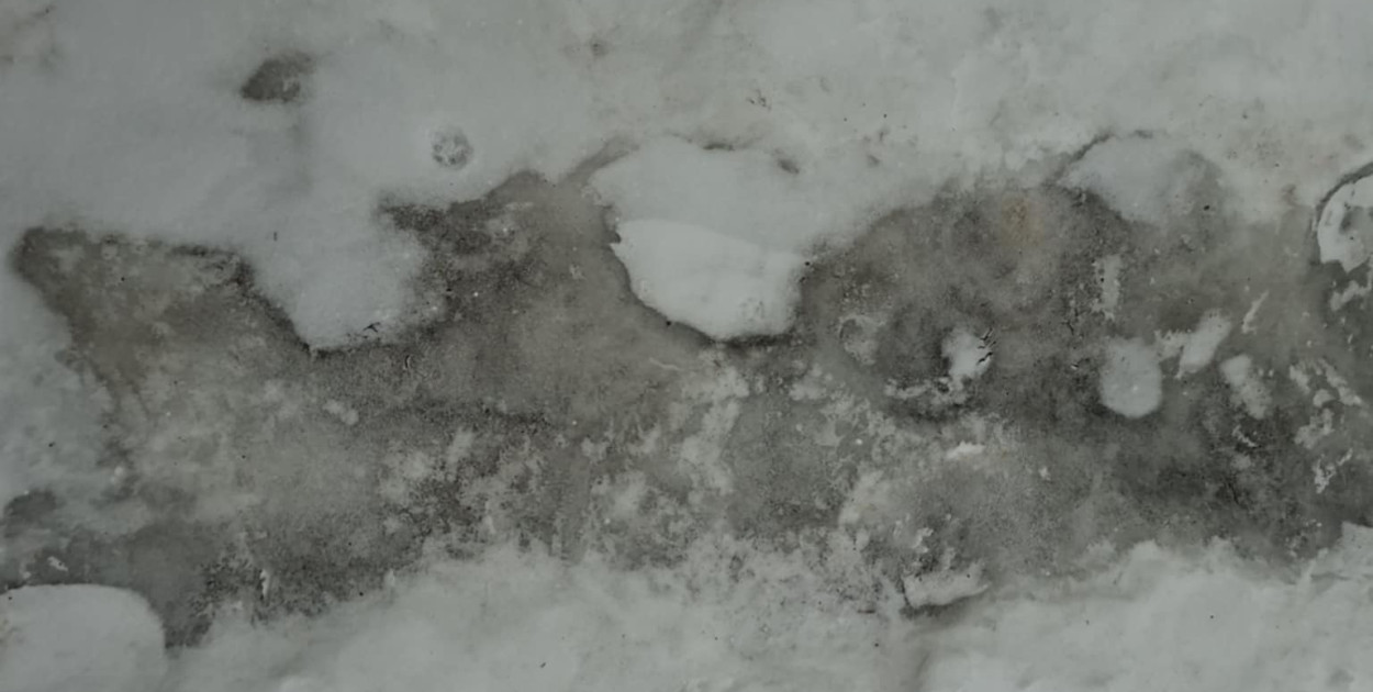 Zimowy test miasta oblany? Mieszkańcy alarmują, włodarze odpowiadają