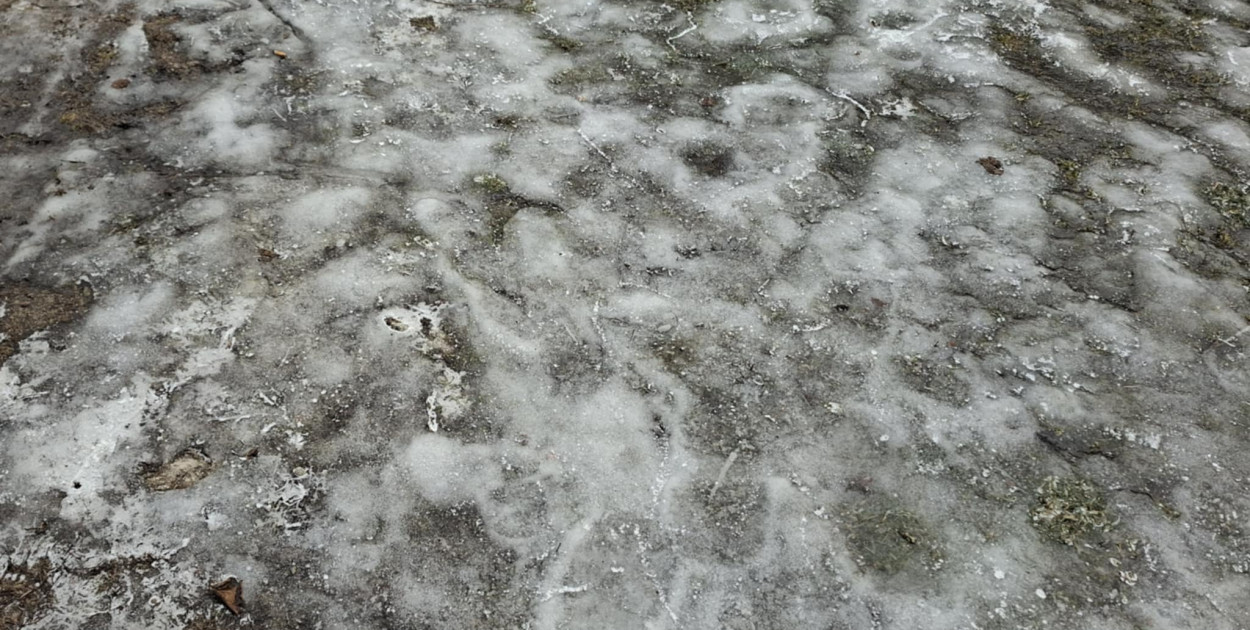 Kutno: Miasto odpowiada na oskarżenia o brak kontroli i korupcję