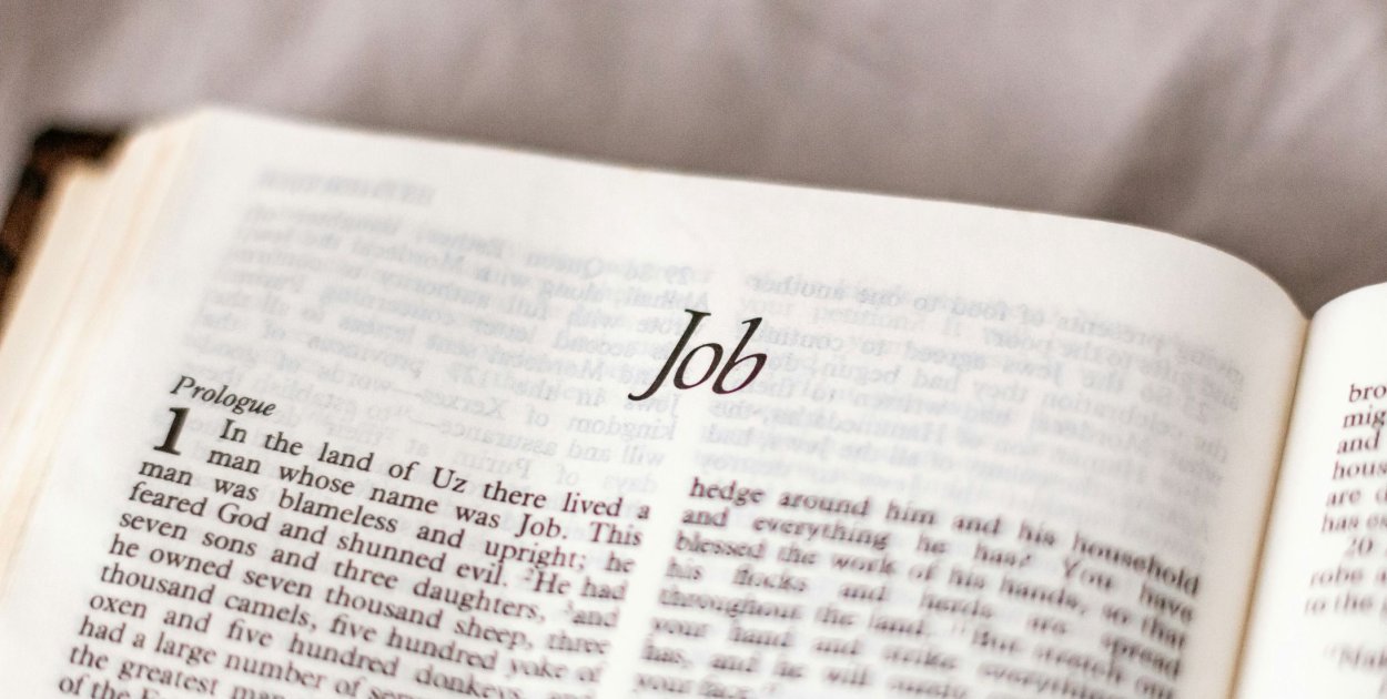 Jak zarządzać pokoleniami w firmie?