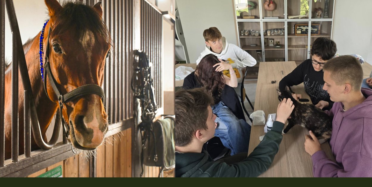 Nowoczesny sprzęt z KPO, milionowe inwestycje w internat w szkole w Mieczysławowie