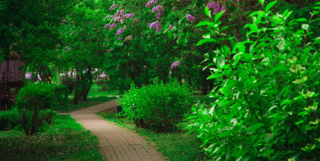Eko-Parki powstaną w Krośniewicach i Grabowie